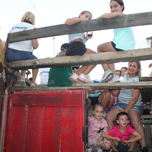 toros 21 agosto 2025 (71)